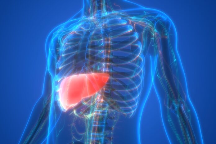 gordura-no-figado:-saiba-o-que-comer-para-ajudar-a-reverter-o-quadro