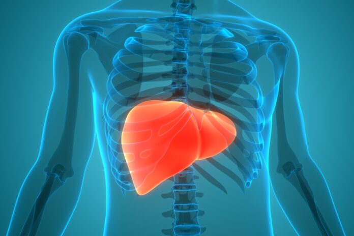 gordura-no-figado:-saiba-sinais-que-exigem-atencao-e-como-se-prevenir