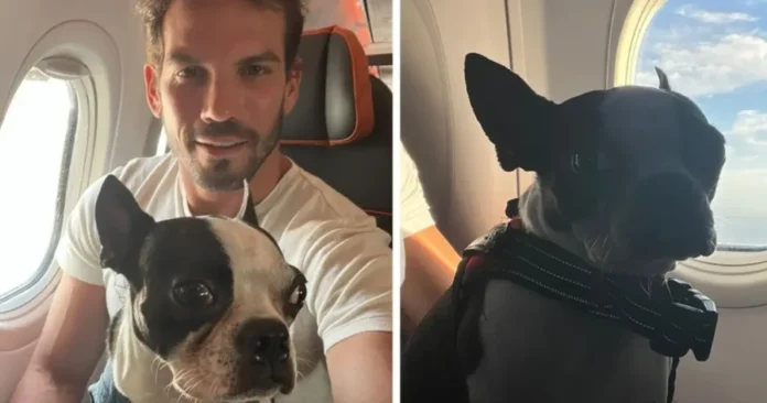 gol-impede-embarque-de-passageiro-com-seu-cao-de-apoio-emocional