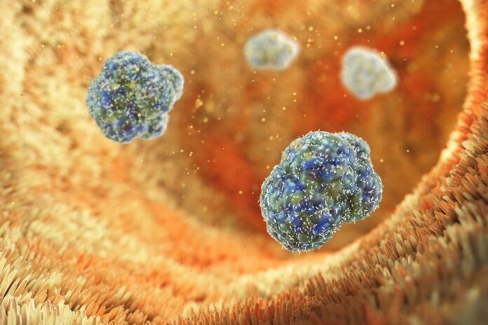 molecula-do-intestino-pode-ajudar-no-controle-da-diabetes,-diz-estudo