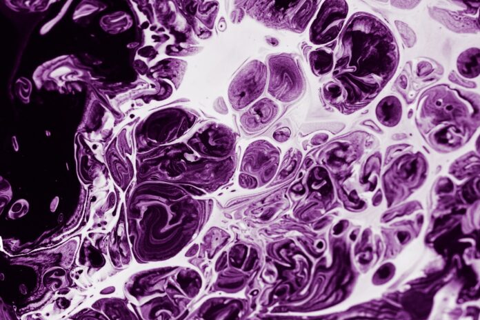 histoplasma:-conheca-o-fungo-que-causou-surto-com-morte-nos-eua