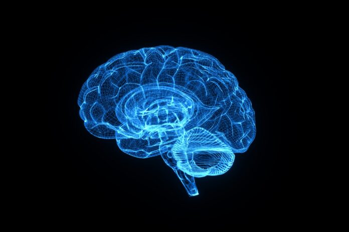 estudo-liga-menopausa-a-mudancas-no-cerebro,-memoria-e-saude-mental