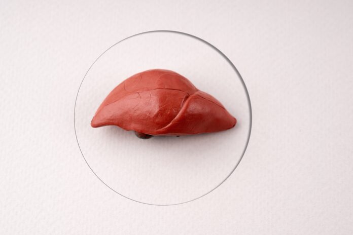 hepatologista-explica-os-sinais-silenciosos-da-gordura-no-figado