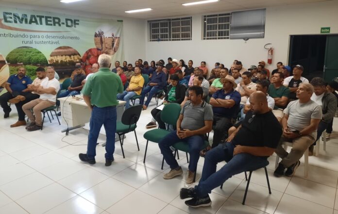 emater-df-e-produtores-de-morango-de-brazlandia-discutem-acoes-para-reducao-de-perdas-na-safra-de-2026