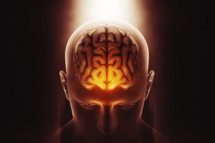 estudo-identifica-“portao-inteligente”-de-protecao-ao-sistema-nervoso