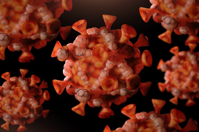 ministerio-da-saude-confirma-81-casos-de-mpox-no-brasil-em-2026