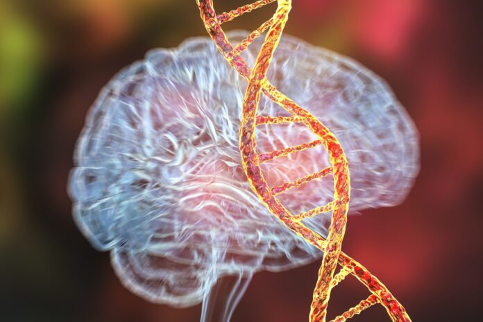 estudo-descobre-base-genetica-comum-entre-14-transtornos-mentais