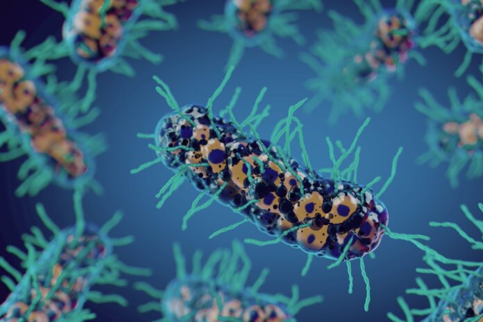 cientistas-testam-bacteria-do-solo-que-pode-“comer”-celulas-do-cancer