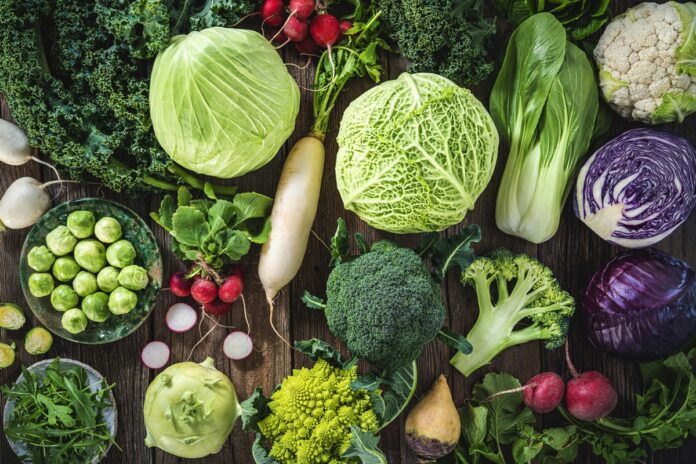 ser-vegetariano-diminui-o-risco-de-cinco-tipos-de-cancer,-diz-estudo