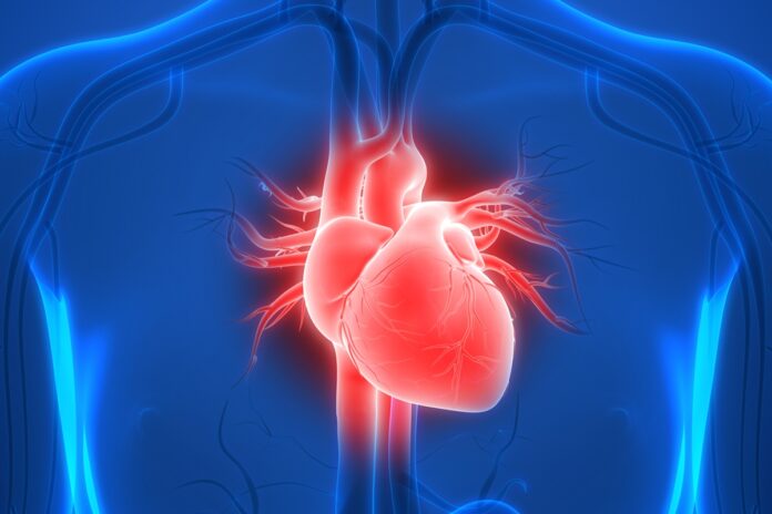 cardiologista-explica-como-reduzir-o-risco-de-arritmias-na-menopausa