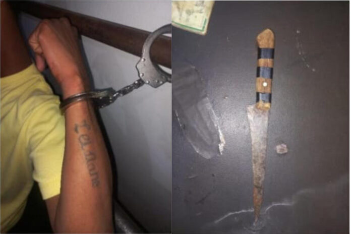 mulher-finge-pedir-pizza-para-denunciar-ameacas-do-marido-em-goias.-ouca