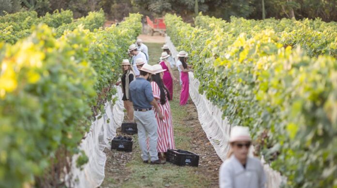 emater-df-lanca-catalogo-com-mais-de-300-produtos-e-experiencias-de-turismo-rural-no-df