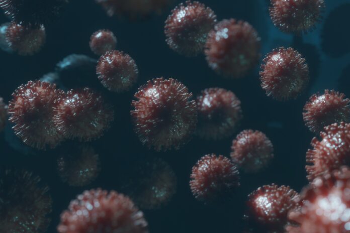 bacteria-resistente-a-antibioticos-sai-de-hospitais-e-circula-em-sp