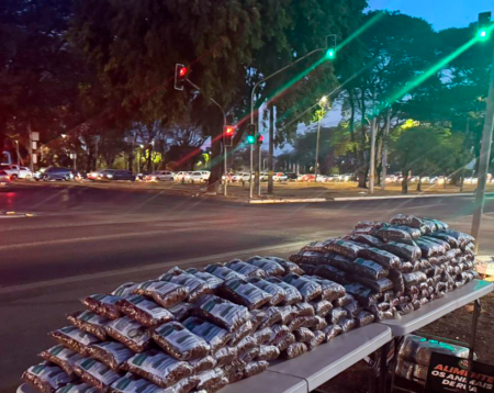 racao-do-bem:-daniel-donizet-transforma-solidariedade-em-alimento-para-animais-de-rua-no-df