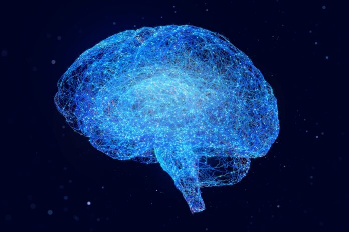 ciencia-recupera-atividade-em-cerebro-congelado-pela-1a-vez