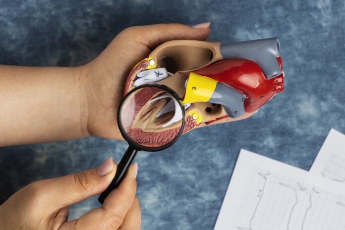 orgao-pouco-conhecido-pode-influenciar-resposta-do-corpo-contra-cancer