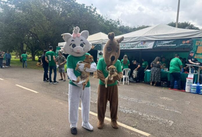 feiras-de-adocao-que-ja-garantiram-mais-de-700-novos-lares-para-animais-resgatados