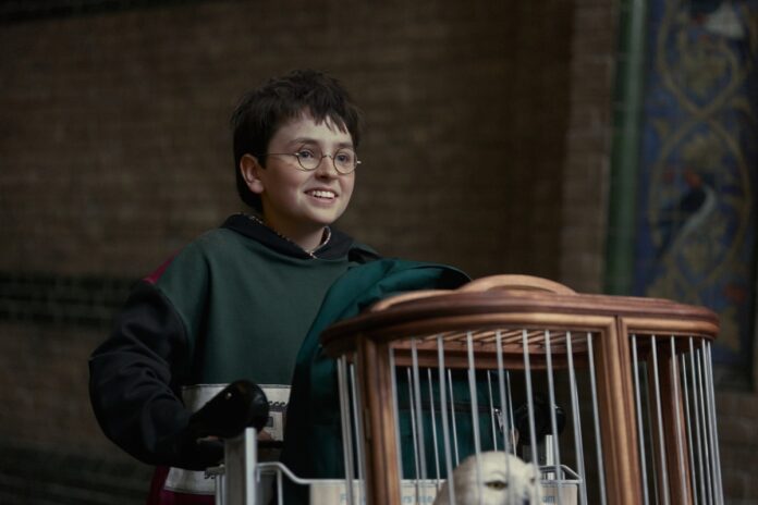 serie-de-harry-potter-tem-diretor-de-fotografia-brasileiro;-conheca