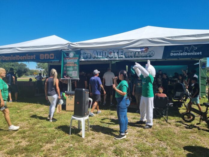 com-19-adocoes,-feira-“audote-um-amigo”-avanca-na-retirada-de-caes-e-gatos-das-ruas-no-df