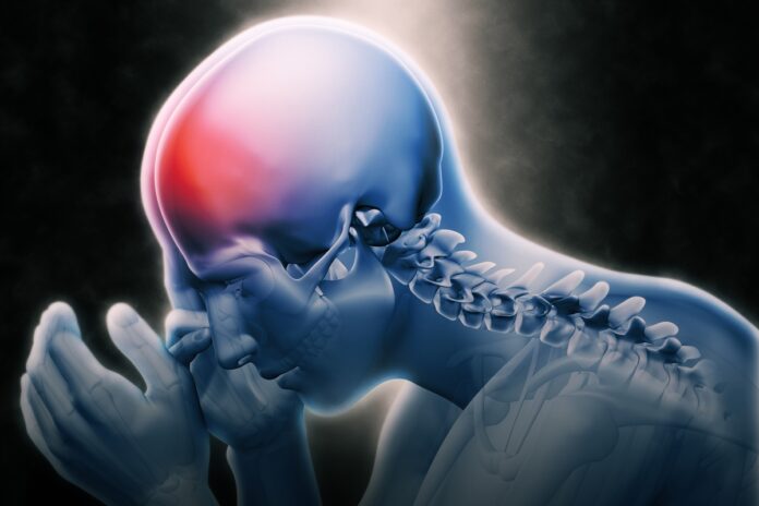 estudo-sugere-que-baco-influencia-na-recuperacao-de-pacientes-com-avc