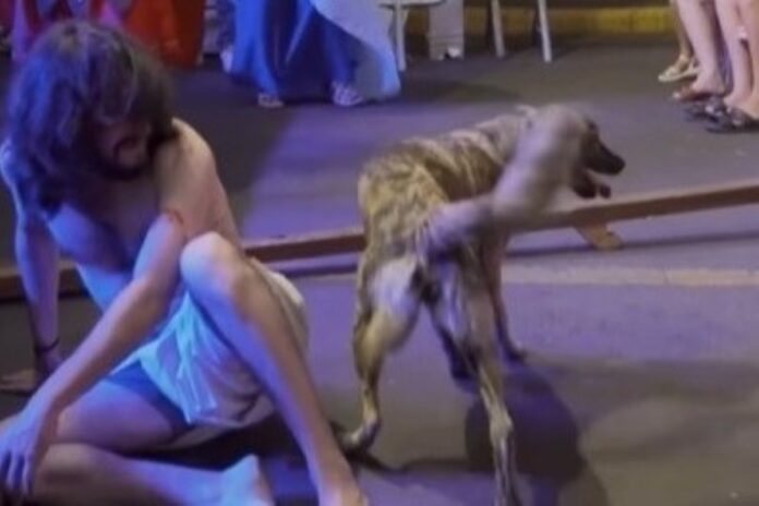 cadela-que-“defendeu”-jesus-em-via-sacra-estava-desaparecida-desde-enchente-no-rs