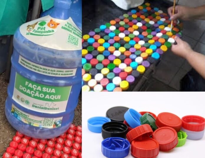 petampinhas-estrutura-rede-de-reciclagem-e-garante-apoio-direto-a-animais-em-situacao-de-rua-no-df