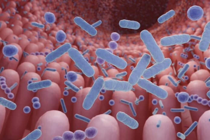 microbioma-intestinal-pode-ajudar-a-detectar-cancer-com-antecedencia