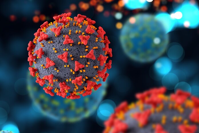 escape-imunologico:-cientistas-monitoram-nova-variante-do-coronavirus