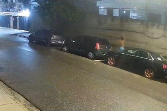 capivara-e-morta-a-pauladas-por-homem-na-zona-sul-do-recife