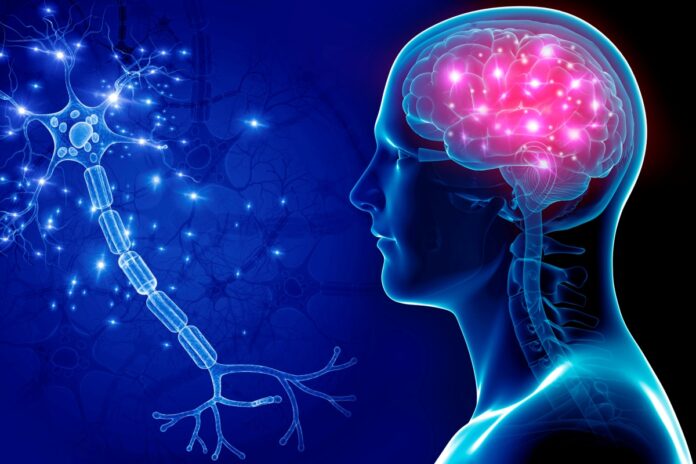 cientistas-observam-dano-do-alzheimer-em-tempo-real-pela-primeira-vez