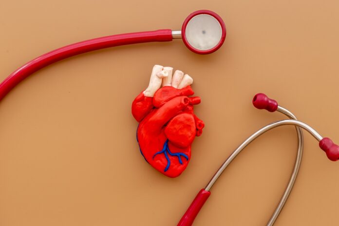 menopausa-e-circulacao:-entenda-como-proteger-sua-saude-vascular