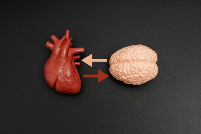 felicidade-dos-brasileiros:-saiba-como-anda-a-nossa-saude-mental