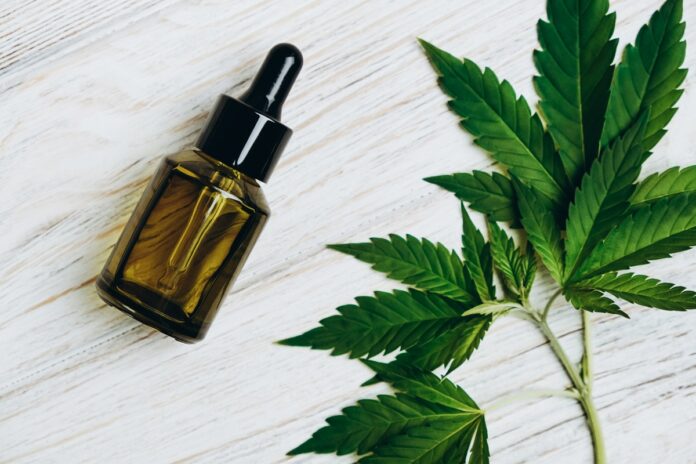 canabidiol-pode-reduzir-danos-cerebrais-do-alzheimer,-sugere-estudo