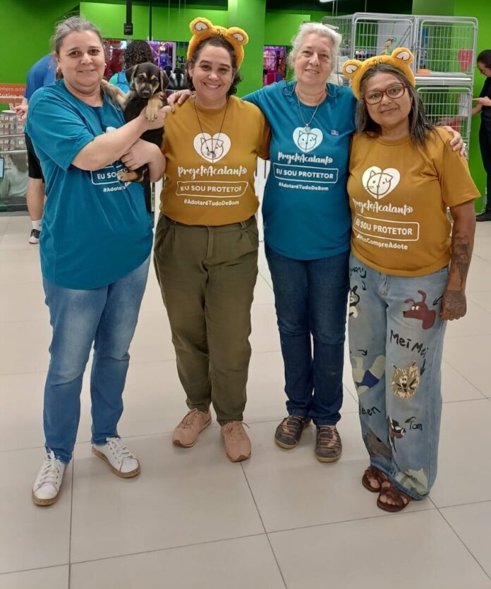 evento-de-adocao-de-pets-movimenta programacao-do-df-plaza-neste-fim-de-semana