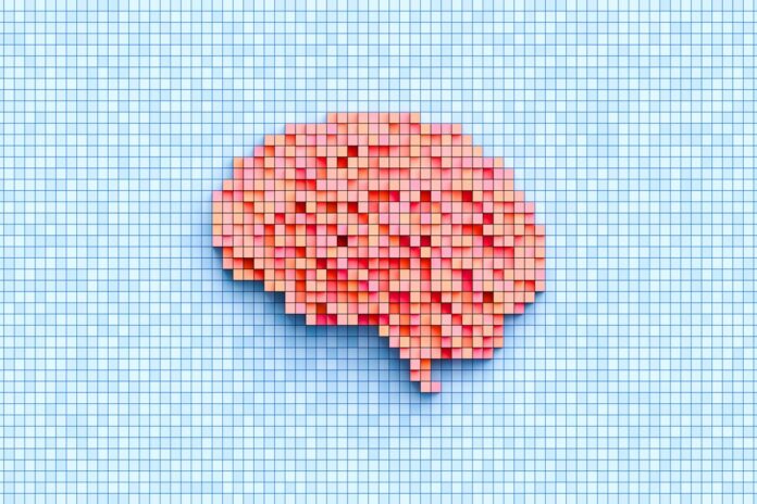 no-seu-prato:-3-alimentos-ideais-para-quem-quer-fortalecer-o-cerebro