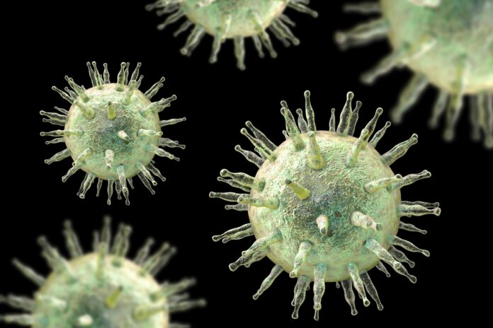cientistas-descobrem-como-bloquear-virus-que-afeta-95%-da-populacao