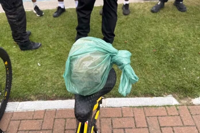 cranio-humano-e-encontrado-por-banhista-em-praia-de-maceio