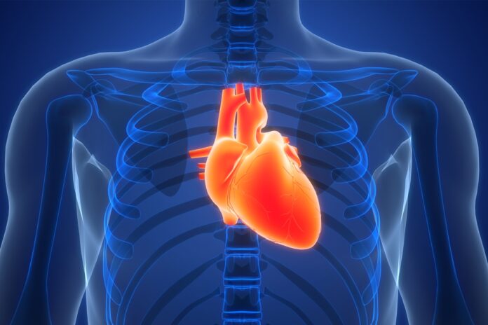 por-que-o-cancer-de-coracao-e-tao-raro?-estudo-descobre-explicacao