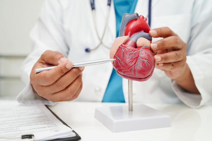 sindrome-ckm-pode-estar-ligada-a-maior-risco-de-cancer,-aponta-estudo