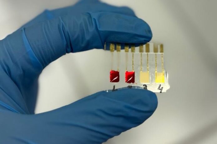 biossensor-brasileiro-detecta-cancer-de-pancreas-em-fase-inicial