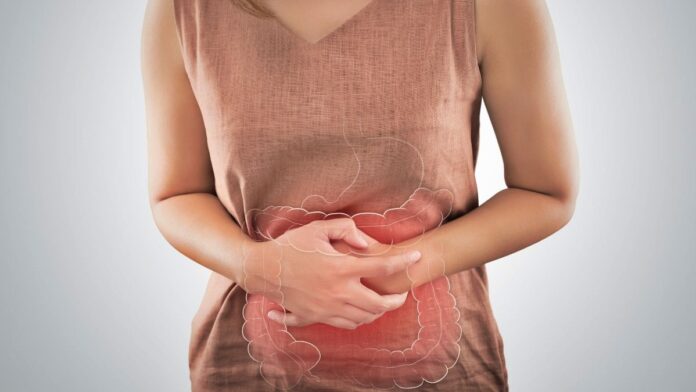estudo:-estresse-e-comer-tarde-da-noite-podem-afetar-saude-intestinal