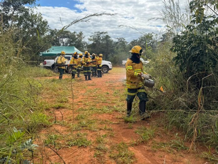 equipes-especializadas-vao-atuar-no-manejo-do-fogo-em-areas-de-conservacao-do-df