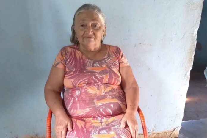 mulher-de-75-anos-morre-apos-ser-atacada-por-enxame-de-abelhas-no-ce
