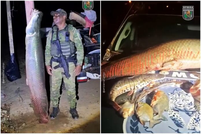 policia-apreende-pirarucu-de-100-kg-em-rancho-no-interior-de-goias
