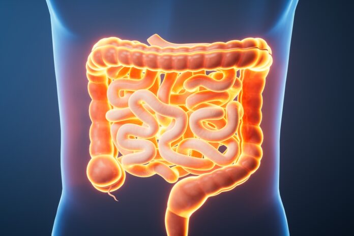 estudo-indica-relacao-entre-pesticida-e-cancer-colorretal-antes-dos-50