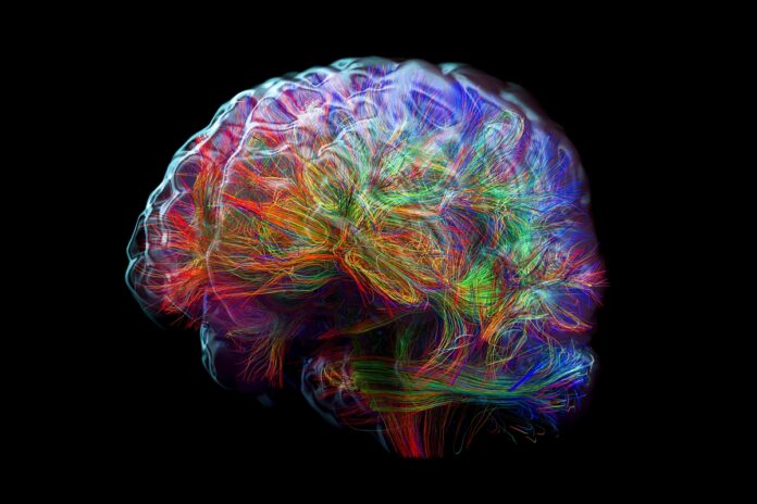revisao-questiona-eficacia-de-remedios-contra-o-alzheimer.-entenda
