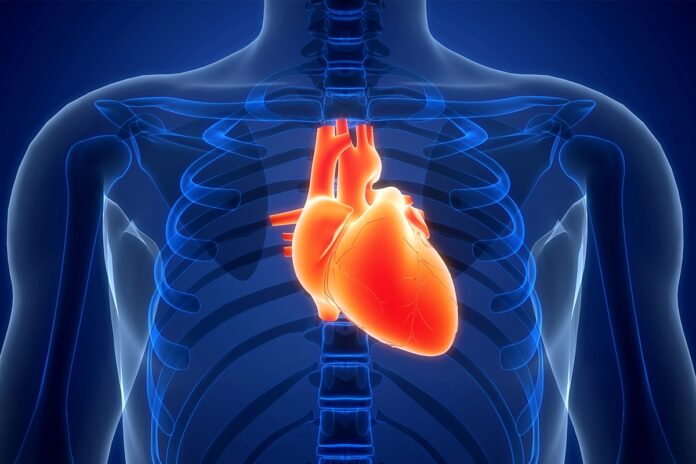 terapia-para-doencas-da-aorta-avanca,-mas-deteccao-tardia-e-desafio