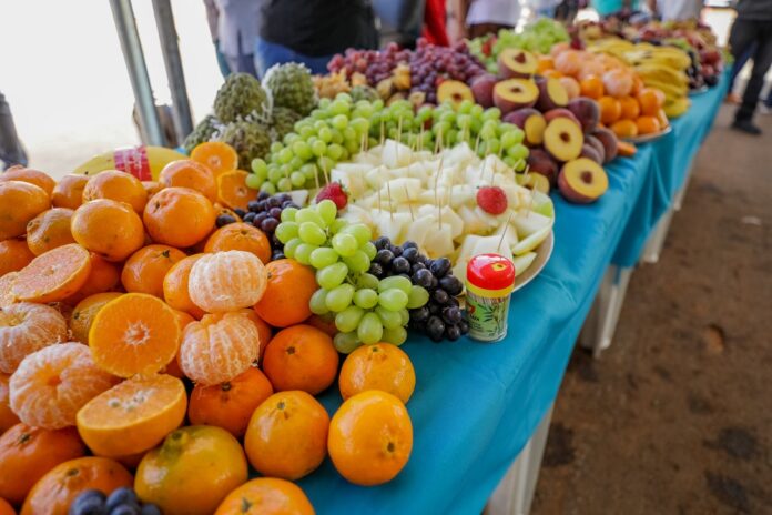 circuito-da-agroindustria-mostra-como-transformar-a-producao-de-frutas-em-renda-o-ano-inteiro
