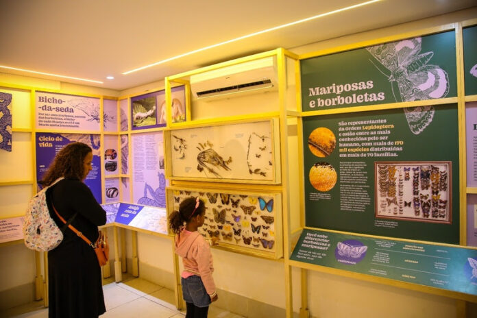 planeta-inseto:-o-museu-do-instituto-biologico-transforma-ciencia-em-experiencia-educativa