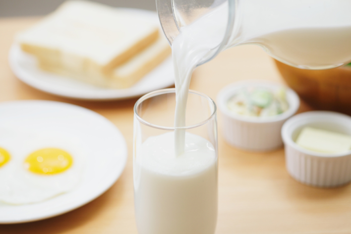 de-vaca-ou-vegetal?-descubra-qual-leite-fortalece-mais-os-ossos